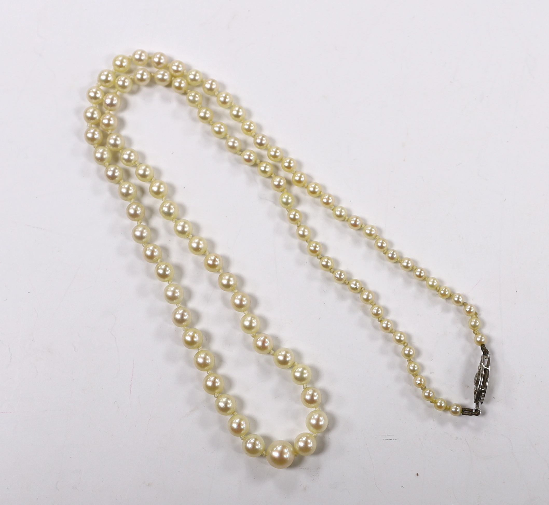 A 1960's single strand graduated cultured pearl necklace with diamond chip set 9ct white gold clasp, 50cm.